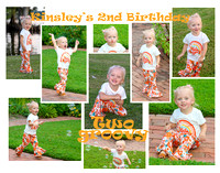 Kinsley 2nd Birthday